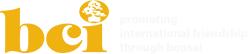 BCI