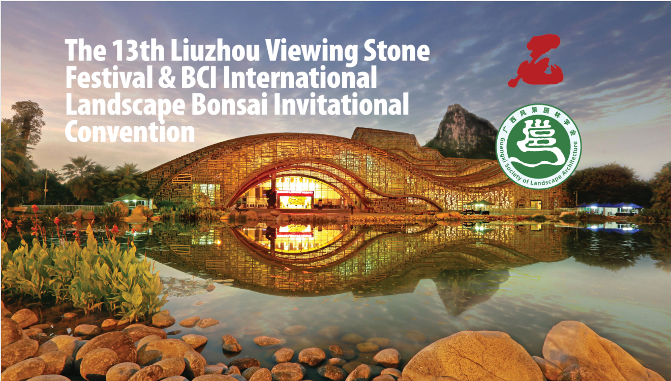 Convención de Liuzhou 2024