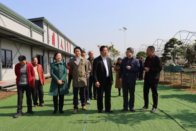 January 17, 2025: Inauguration Ceremony for the New Campus of the Baowen Bonsai Artisan Industry Academy