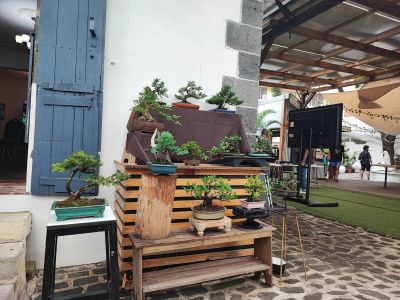 Mini expo 15 November 2025