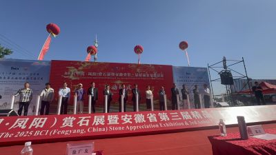 BCI Regional Penjing & Stone Convention — 3rd Anhui Province Fine Penjing Invitational
