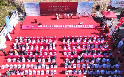 BCI Regional Penjing & Stone Convention — 3rd Anhui Province Fine Penjing Invitational