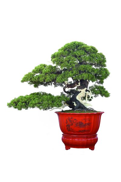 両手で窓の外の月を押し出す