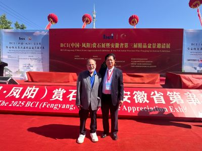 BCI Regional Penjing & Stone Convention — 3rd Anhui Province Fine Penjing Invitational