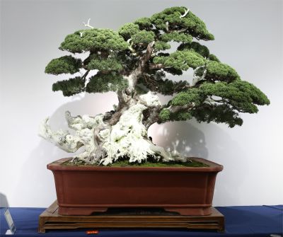 Qin Han Teng Yun