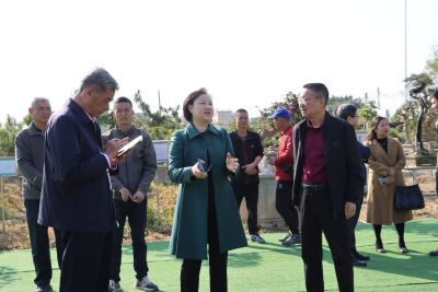 January 17, 2025: Inauguration Ceremony for the New Campus of the Baowen Bonsai Artisan Industry Academy