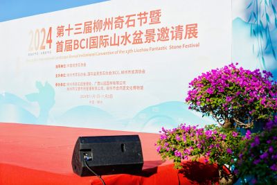 Liuzhou Convention 2024