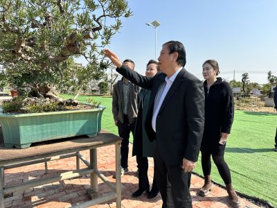January 17, 2025: Inauguration Ceremony for the New Campus of the Baowen Bonsai Artisan Industry Academy