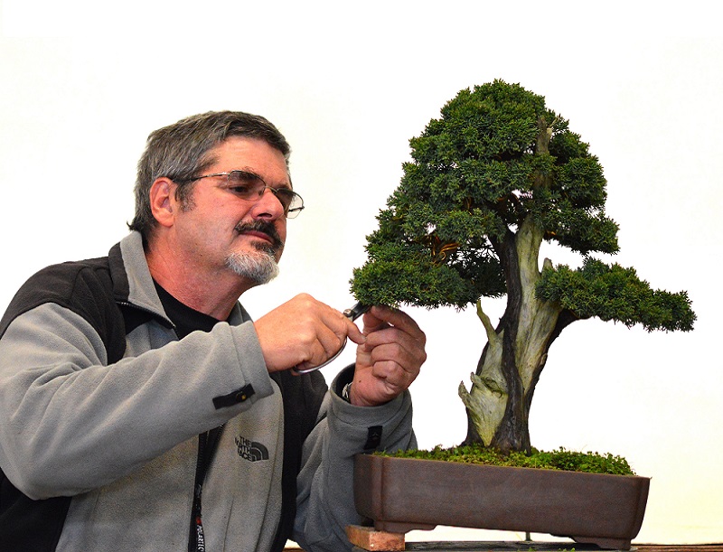 Ferreira TramujasCarlos Eduardo