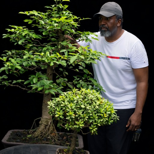 Olivier Esungi