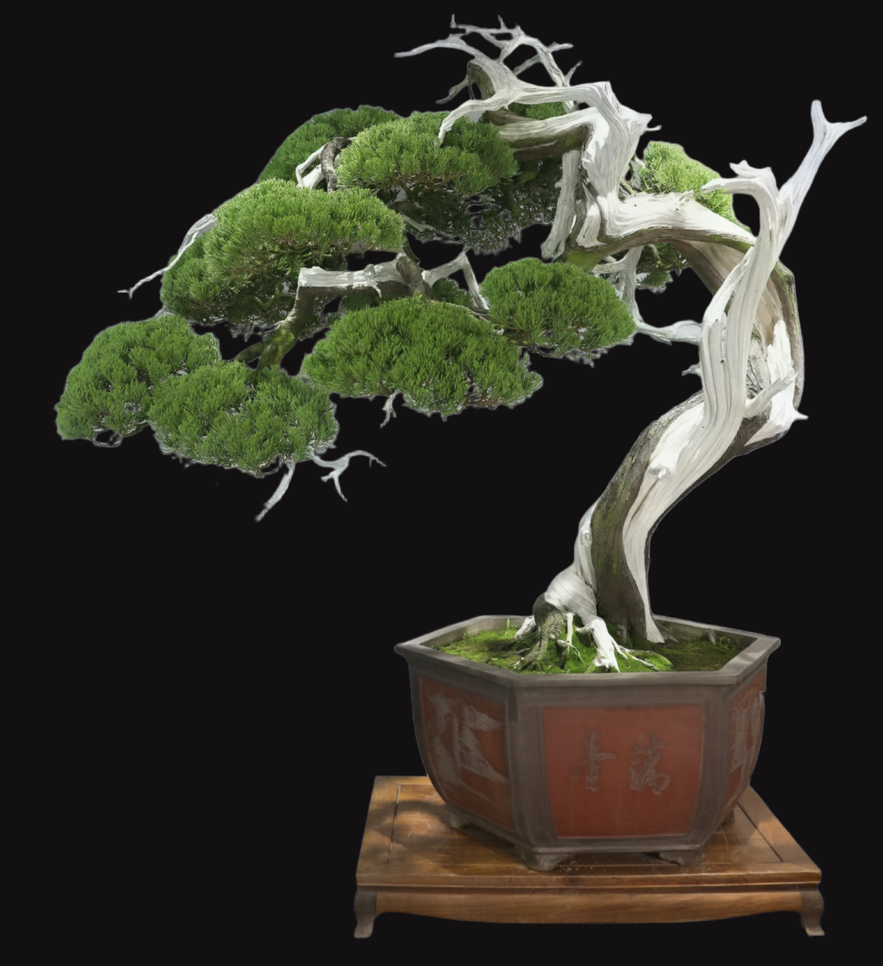 "虬龙擎天" can be translated as:  
**"굴룡이 하늘을 떠받치다"**  

(Note: "虬龙" refers to a coiled, hornless dragon in Chinese mythology, often symbolizing strength and ancient power. "擎天" means "to hold up the sky." The translation captures the image of a mighty dragon