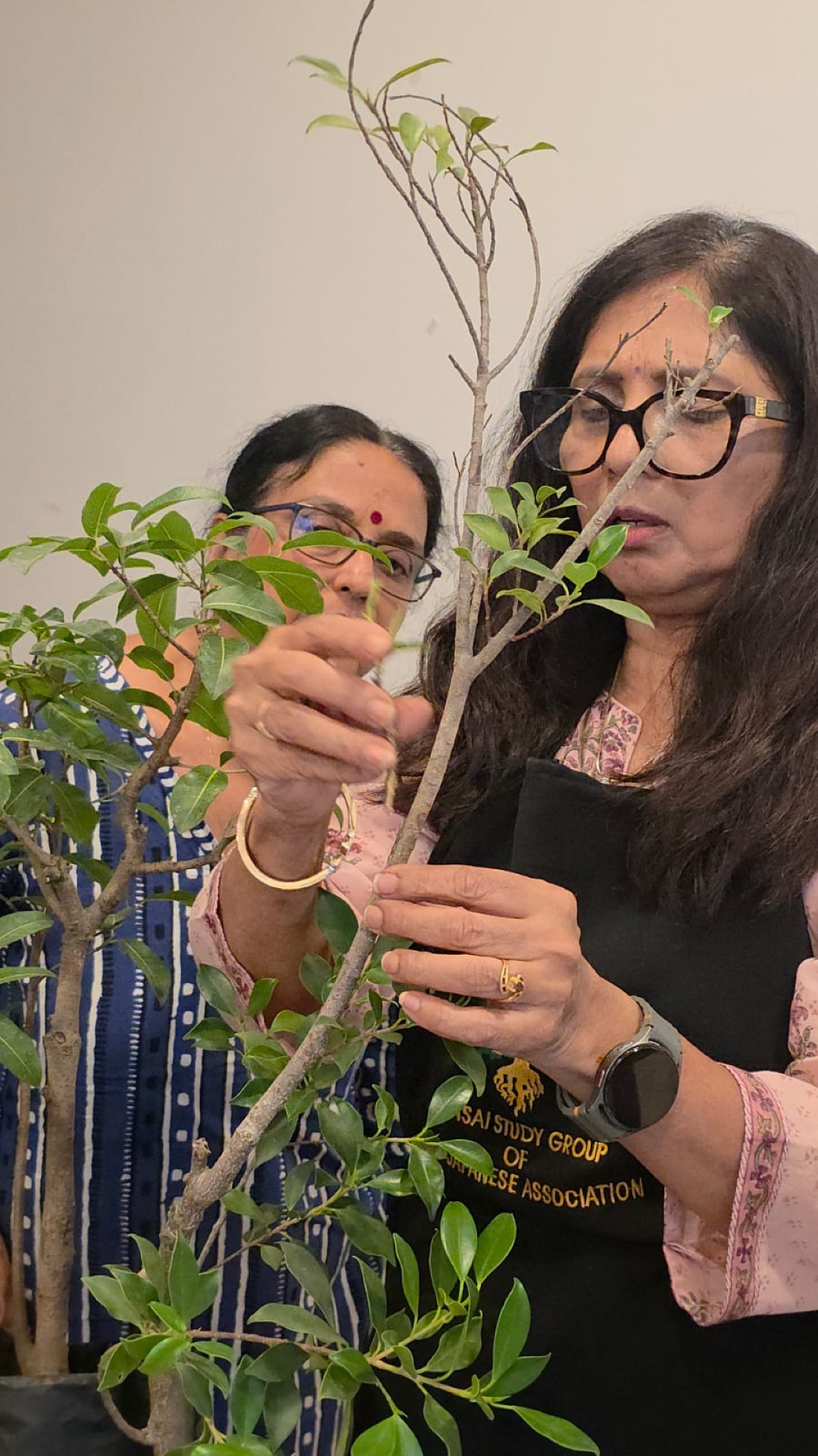 Grafting Techniques in Bonsai