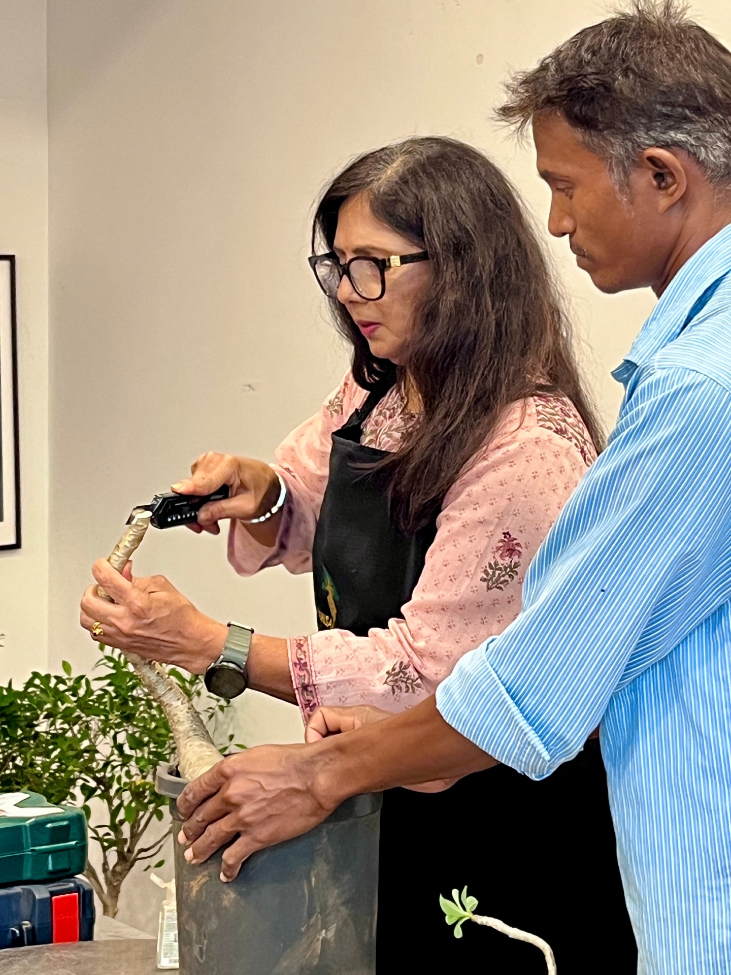 Grafting Techniques in Bonsai