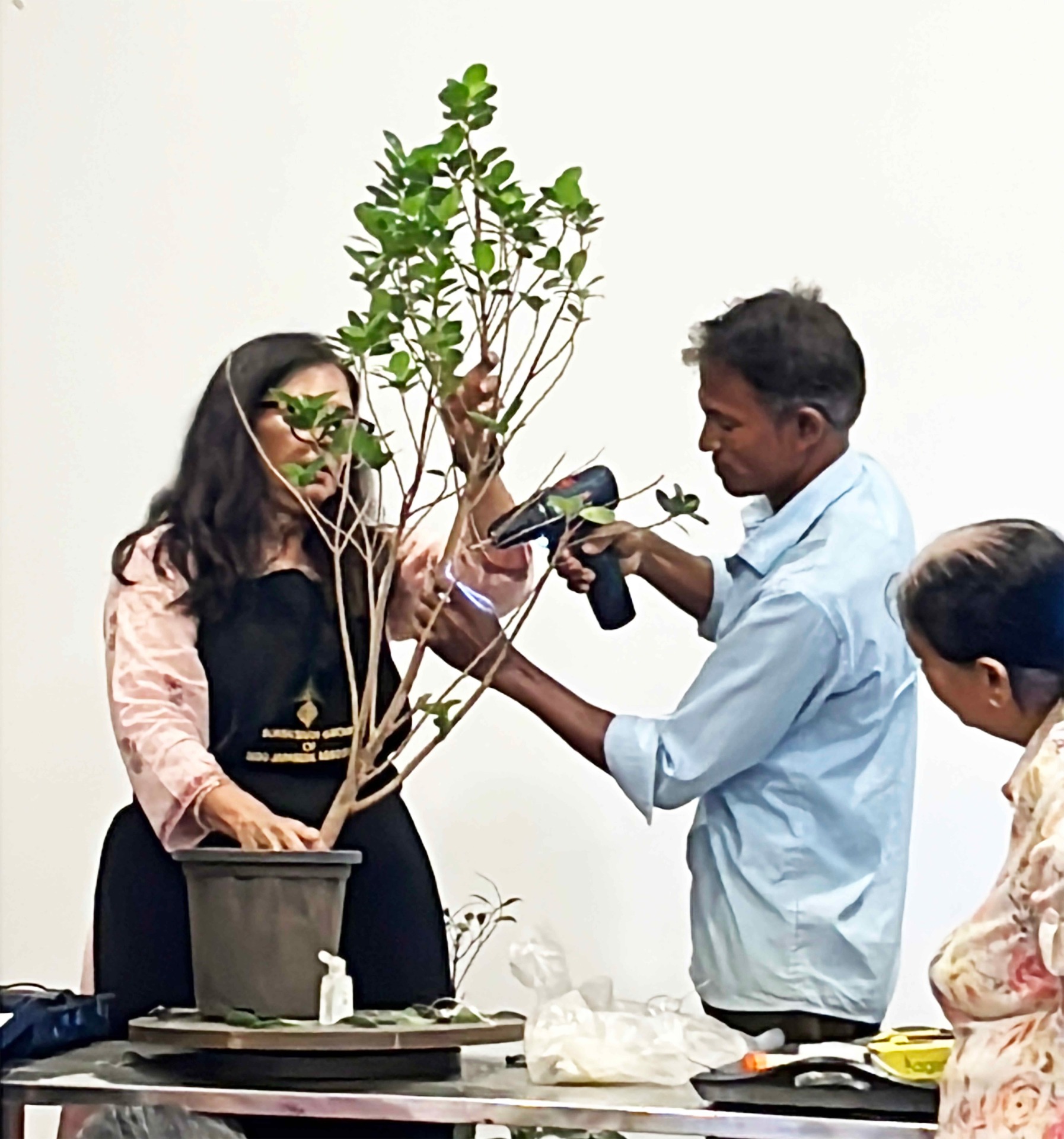 Grafting Techniques in Bonsai