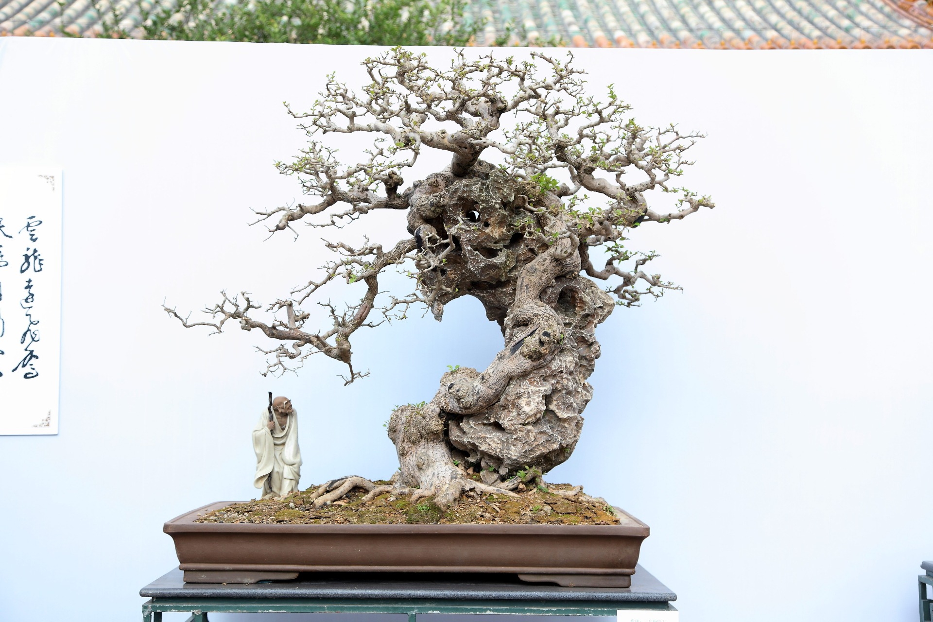 紫霞楚锁木石盟
