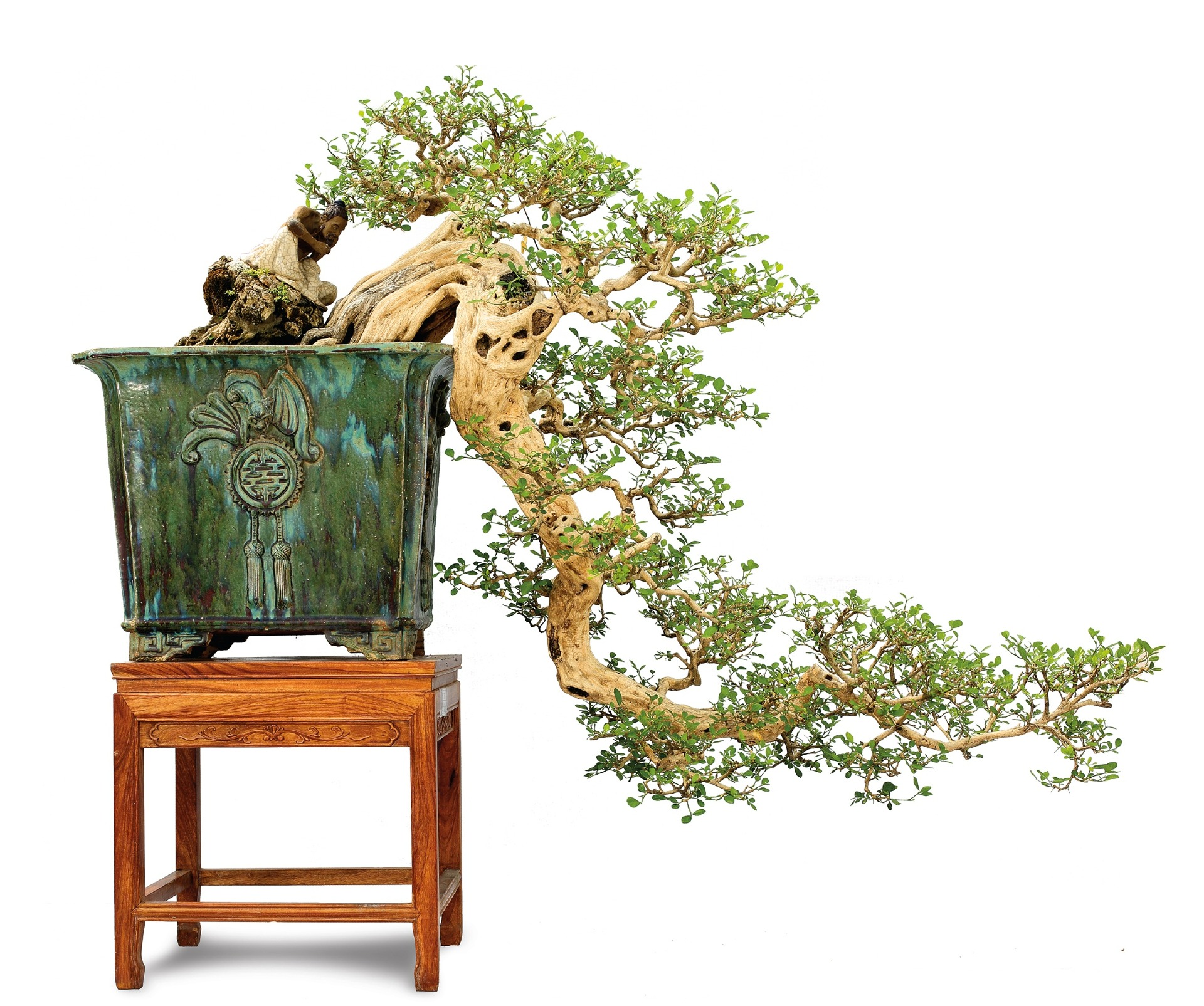 苍龙奔江