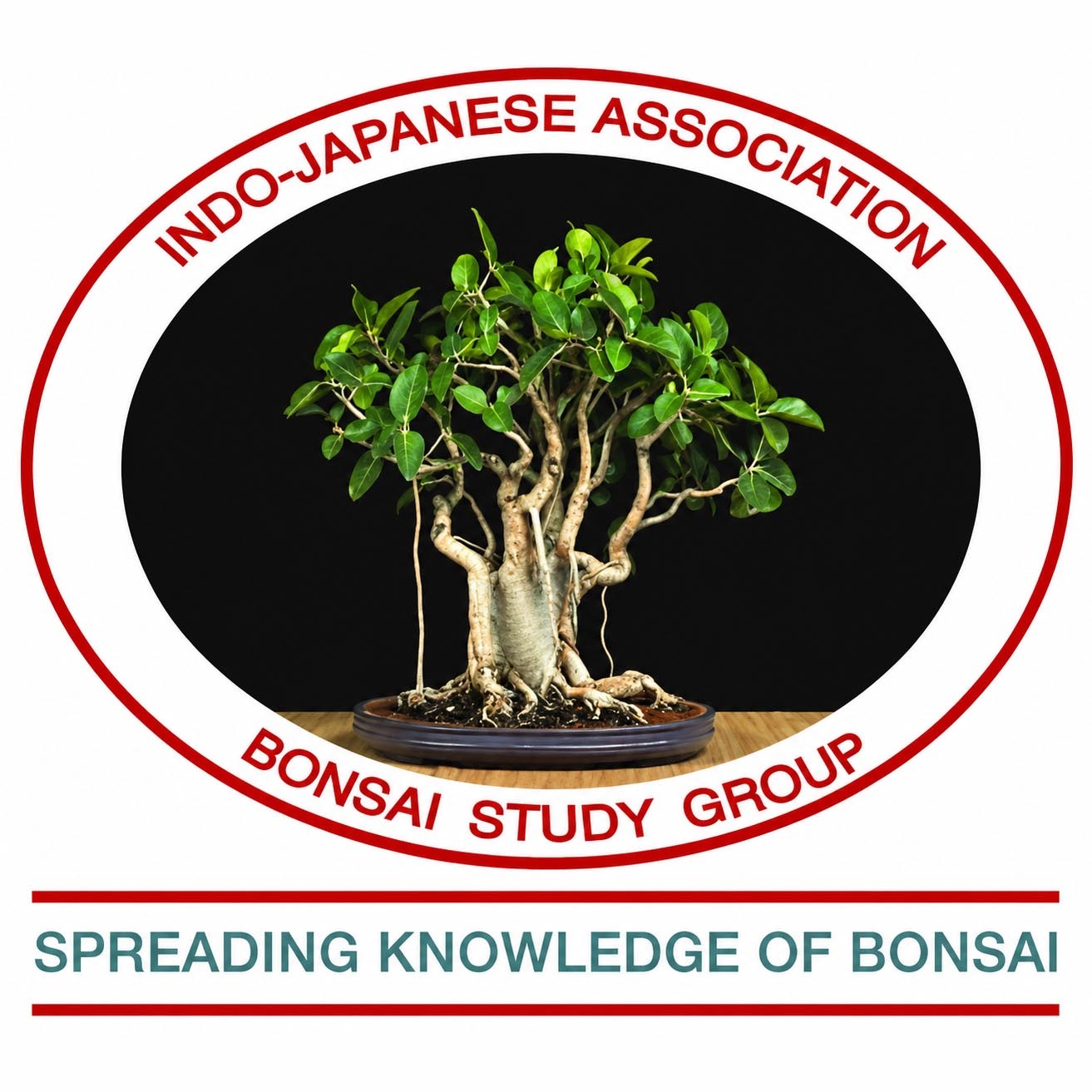 Bonsai Study Group of the Indo-Japanese Association